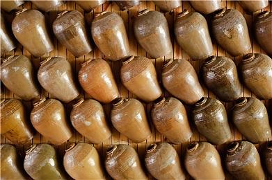 《月光光心慌慌游戏版》公布 根据1978年首部电影改编