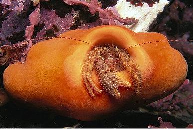 随心所欲：《NBA 2K22》现已全球发布